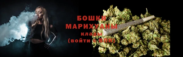 стаф Зерноград