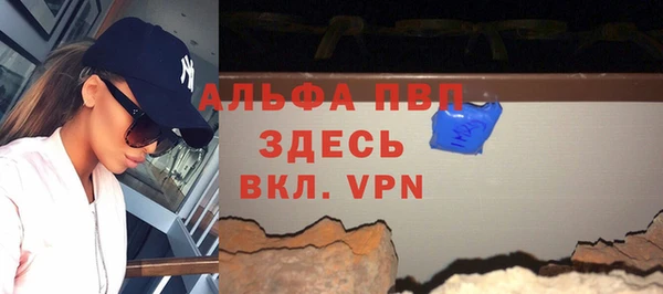 стаф Зерноград