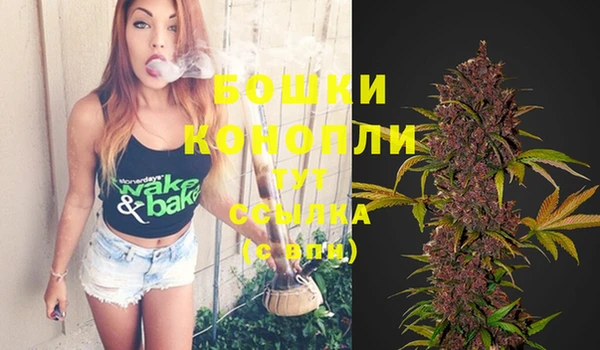 стаф Зерноград