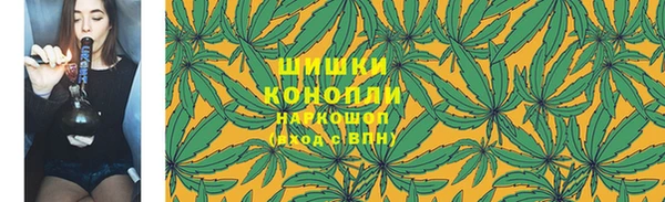 стаф Зерноград