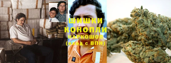 стаф Зерноград