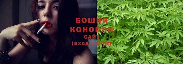 стаф Зерноград