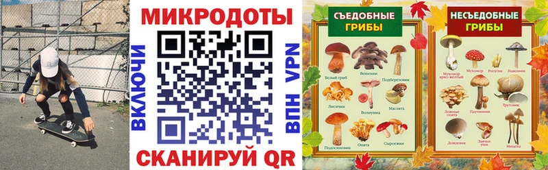 blacksprut сайт Канск Псилоцибиновые грибы GOLDEN TEACHER