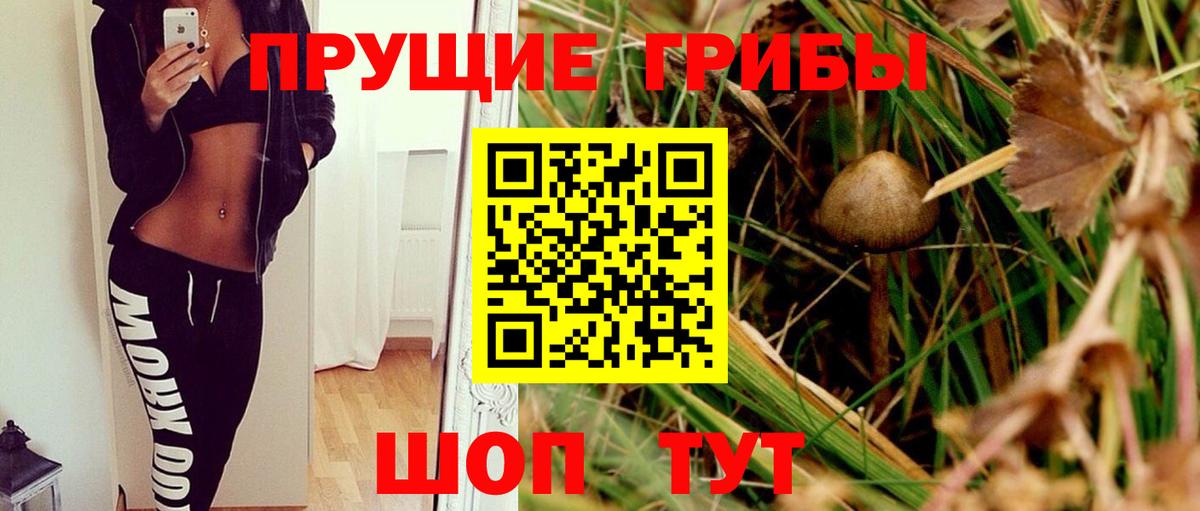 Галлюциногенные грибы MAGIC MUSHROOMS Канск